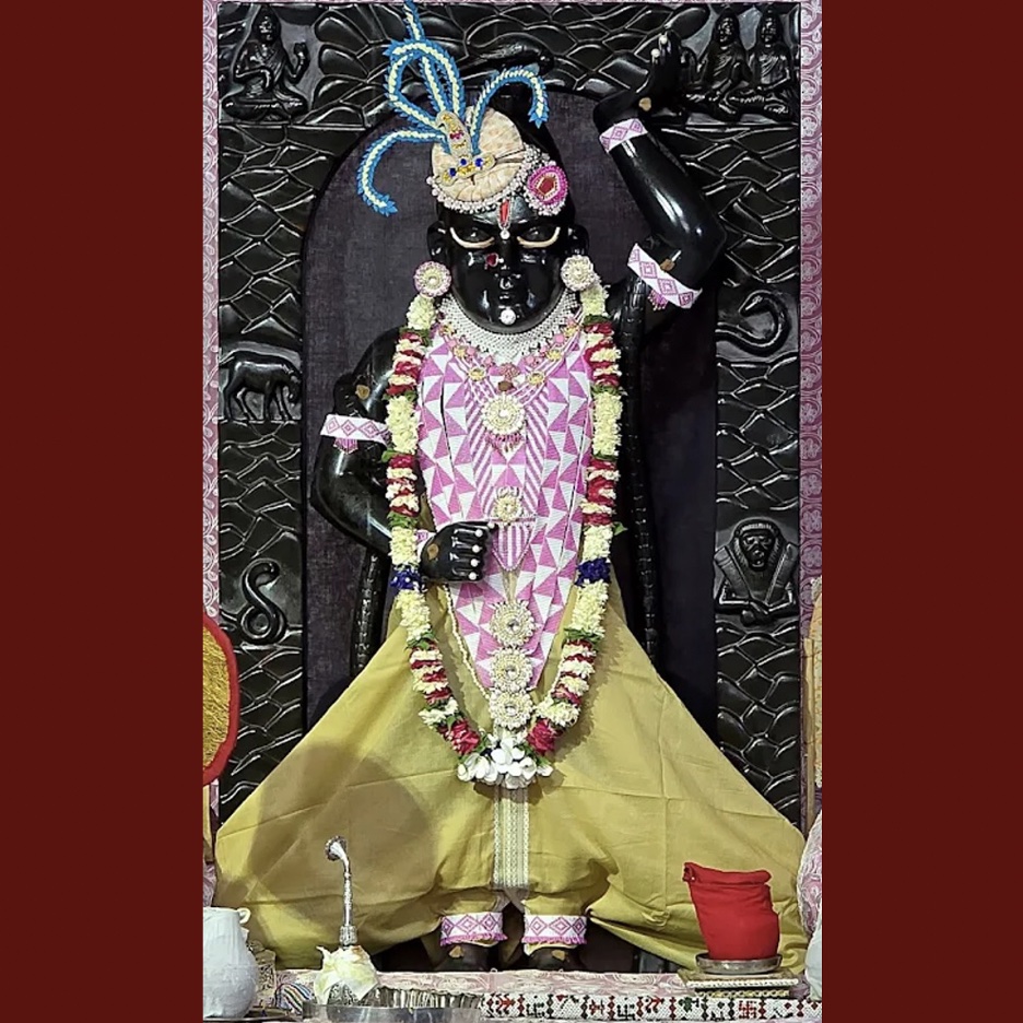 Temple Darshan View 2