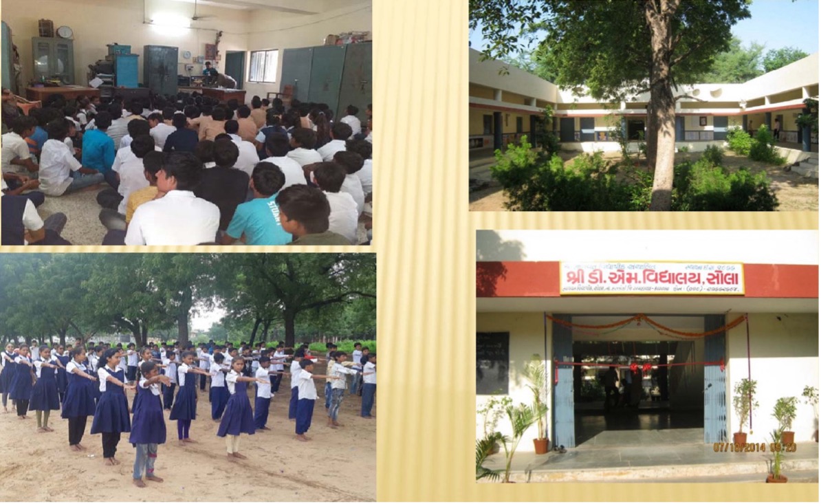 Shree D.M. Vidyalay School
